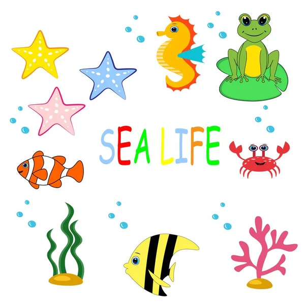 Roztomilá Mořská Zvířata Set Cartoon Ilustrace Mořský Život — Stock fotografie
