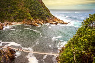 Tsitsikamma Milli Parkı Güney Afrika'da