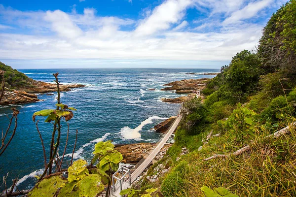 In the Tsitsikamma National Park South Africa — Stock Photo, Image