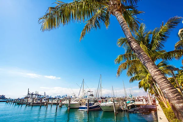 Harbor in Miami Florida — Stock Photo, Image
