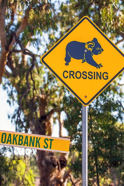 Señal de advertencia de Koala cerca de Narrandera nuevo Soth Wales Australia — Foto de Stock