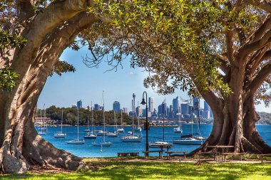 Kamp Cove Beach View Sydney Avustralya