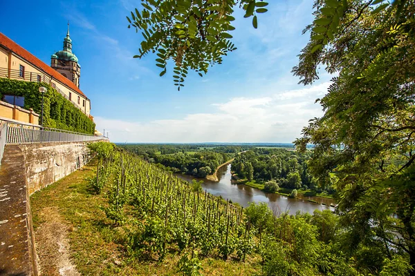 Viñedo frente al castillo Melnk Bohemia República Checa — Foto de Stock
