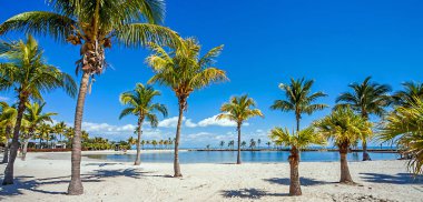Matheson hamak ilçe Park Miami Florida yuvarlak kumsalda