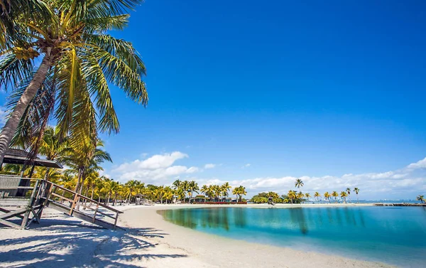 Der runde strand am matheson hängematte county park miami florida — Stockfoto