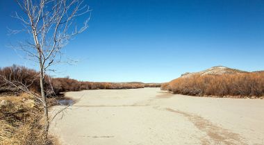Kurutulmuş Rio Grande Texas ABD