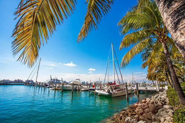 Puerto de yates en Miami Florida EE.UU. — Foto de Stock