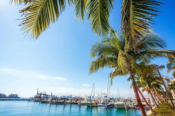 Yacht harbor in Miami Florida USA — Stock Photo, Image