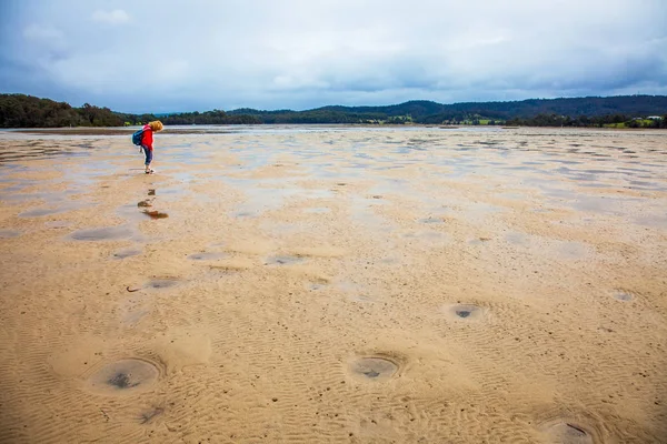 Narooma Avusturalya New South Wales gölde Wallaga, düşük tide at — Stok fotoğraf