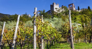 Castello di Avio Trento İtalya büyüyen şarap