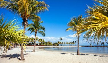 Round Beach in Miami Florida USA clipart