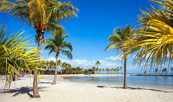 Round Beach in Miami Florida USA — Stock Photo, Image