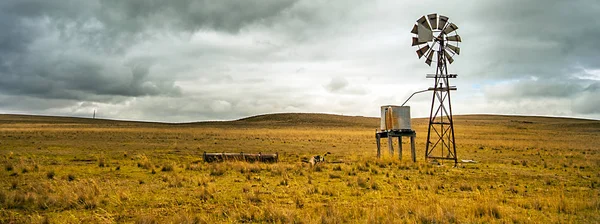 Texas koła w ten Outback Tumut New South Wales Australia — Zdjęcie stockowe