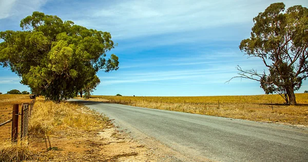 Outback bei narrandera new south wales australia — Stockfoto