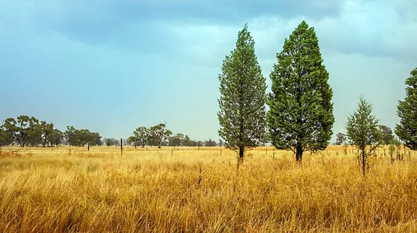 Outback Dubbo új-Dél-Wales Ausztrália — Stock Fotó