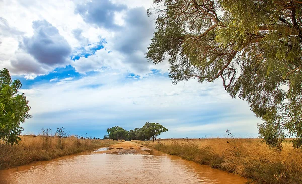 Su basmış, Dubbo Avustralya outback sokakta — Stok fotoğraf