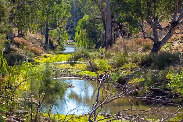 Outback a Dubbo Nuovo Galles del Sud Australia — Foto Stock