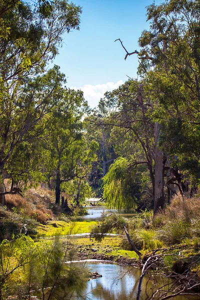 Outback na Dubbo, Austrálie — Stock fotografie