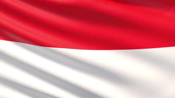 Bandera de Indonesia — Vídeos de Stock