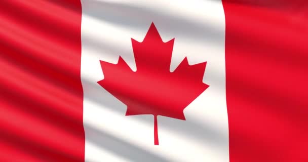 Drapelul Canadei — Videoclip de stoc