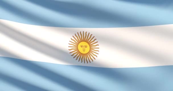 Arjantin bayrağı — Stok video
