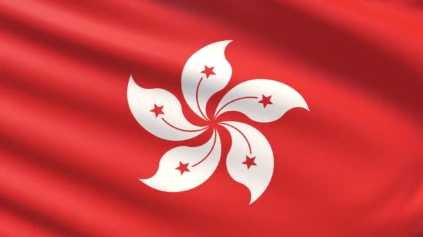 La Bandera de Hong Kong — Vídeo de stock