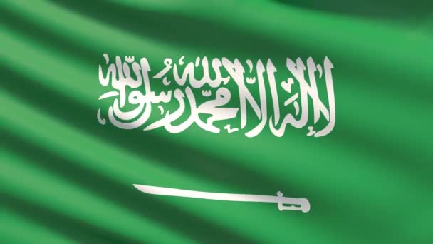 Die Flagge von saudi arabia — Stockvideo