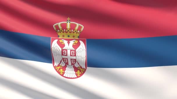 The flag of serbia — Stok video