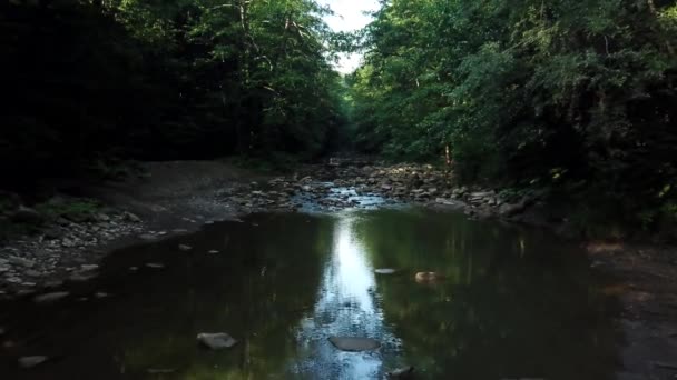 Vzdušné létání mezi stromy v lese pod řekou — Stock video