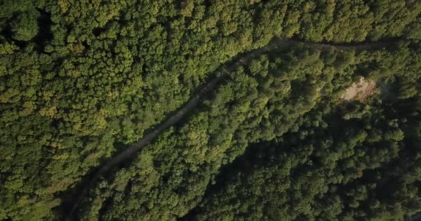 Widok z góry z lotu ptaka kaukaski górski las — Wideo stockowe