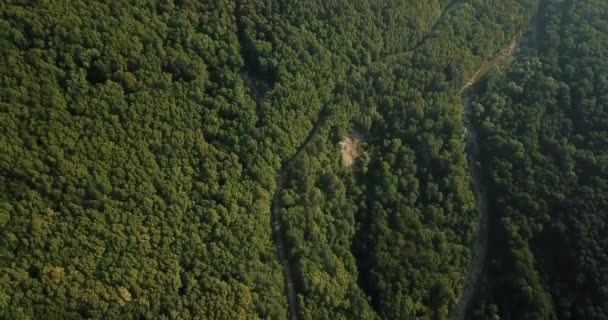 Vista aérea superior da floresta montanhosa caucasiana — Vídeo de Stock