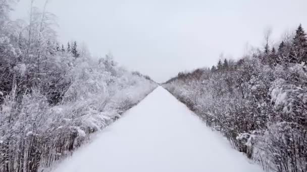 Повітряний вид на дорогу між сніговими деревами — стокове відео