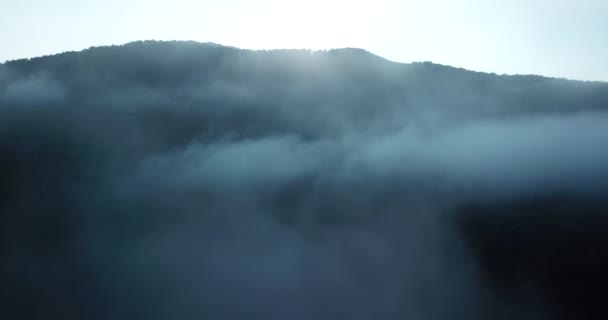 Vol aérien épique au-dessus des nuages brouillard forrest Séquence Vidéo