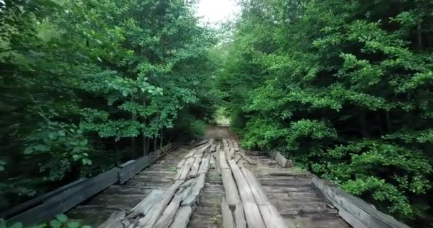 Latanie wzdłuż drewnianego mostu — Wideo stockowe