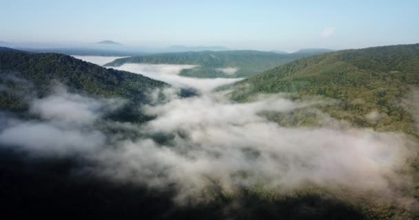 Пухнасті хмари під літнім лісом і горою — стокове відео