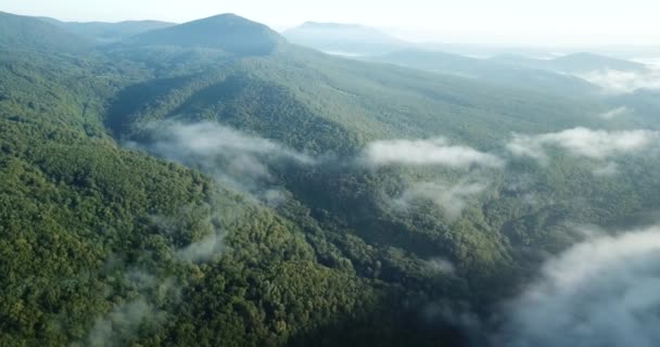 O movimento das nuvens no céu — Vídeo de Stock