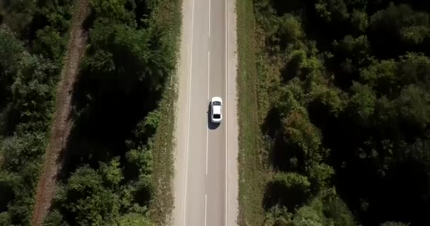 Vista aerea sorvolando strada forestale con auto — Video Stock