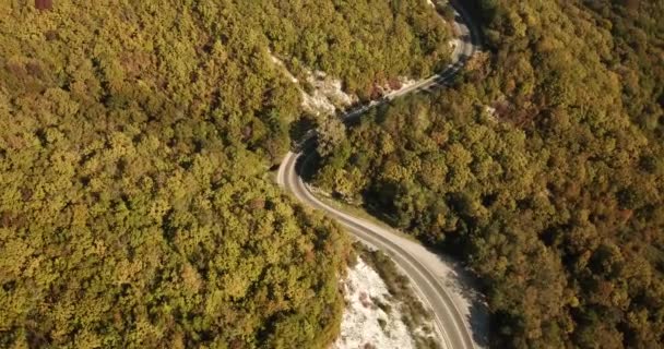 Aerial view of car driving along the winding road — Stock Video