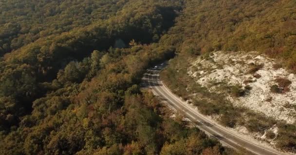 Vista aérea do carro dirigindo ao longo da estrada sinuosa — Vídeo de Stock