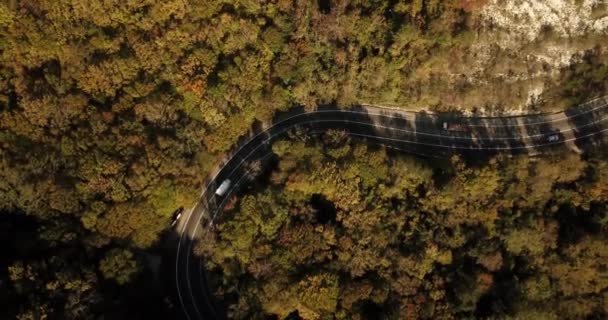 Pemandangan udara mobil mengemudi di sepanjang jalan berliku — Stok Video