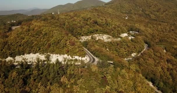 Vista aérea del coche que conduce a lo largo de la carretera sinuosa — Vídeos de Stock