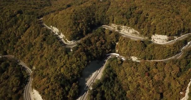 Luftaufnahme eines Autos, das die kurvenreiche Straße entlangfährt — Stockvideo