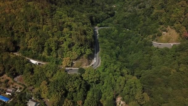 Luftaufnahme einer kurvenreichen Bergstraße in Russland — Stockvideo