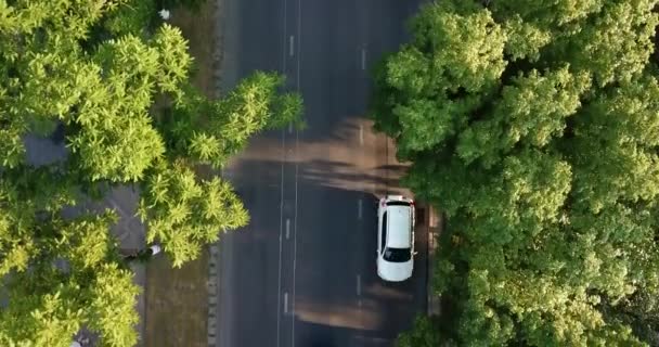 Vue aérienne du haut vers le bas de l'autoroute ville animée rush — Video