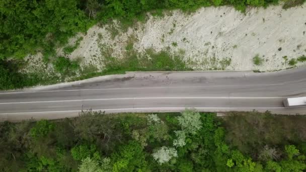 Vista aérea de cima para baixo de uma floresta de abeto — Vídeo de Stock