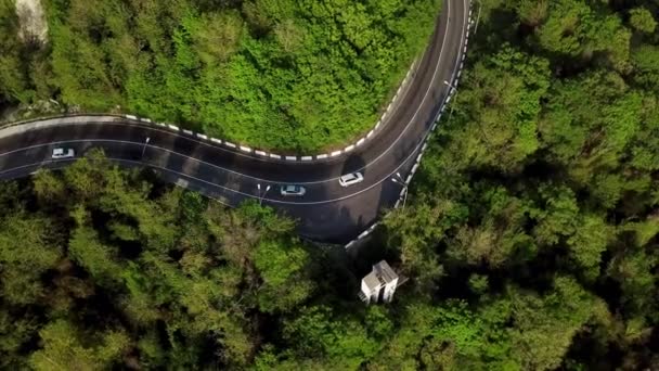 Carros dirigindo em zig zag estrada sinuosa através de exuberante — Vídeo de Stock