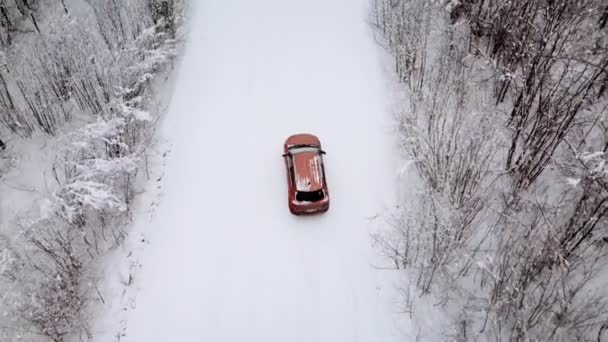 Luchtfoto van een besneeuwd bos en weg met een auto — Stockvideo