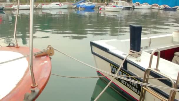 Boothaven met kleine boot die vertrekt — Stockvideo