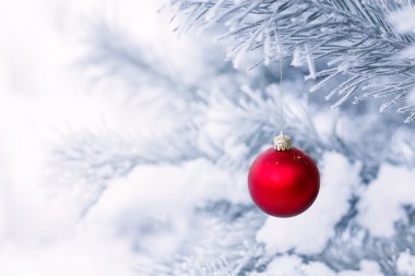 Çam dalında Noel süslemeleri