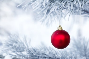 Çam dalında Noel süslemeleri